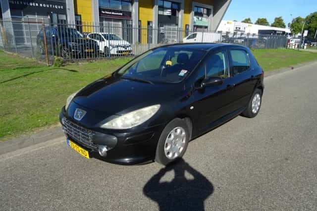 Peugeot 307 (2007) thumbnail 1