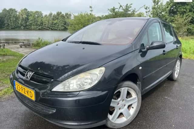 Peugeot 307 (2005) thumbnail 1