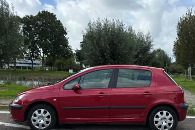 Peugeot 307 (2002) thumbnail 2