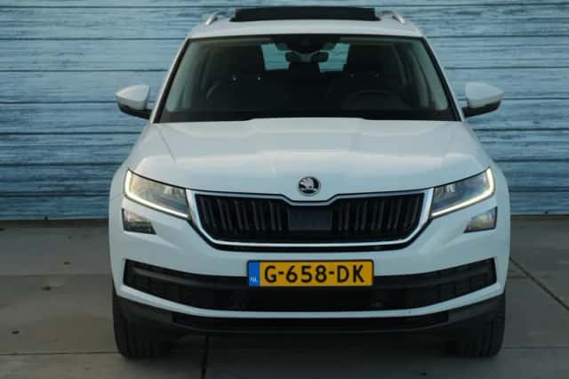Škoda Kodiaq (2019) thumbnail 2