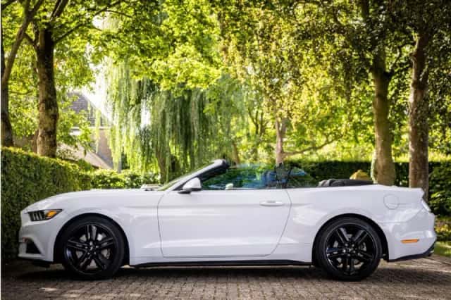 Ford Mustang (2017) thumbnail 2
