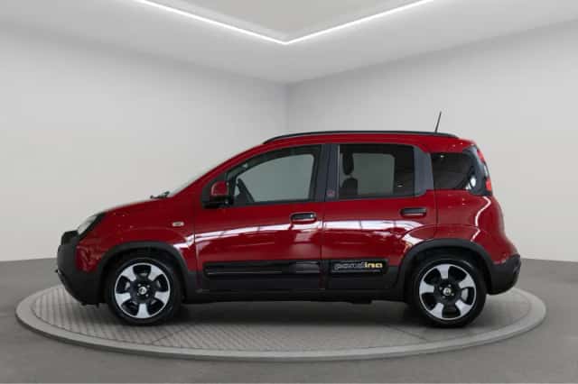 Fiat Pandina (2026) thumbnail 3