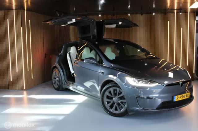Tesla Model X (2022) thumbnail 6