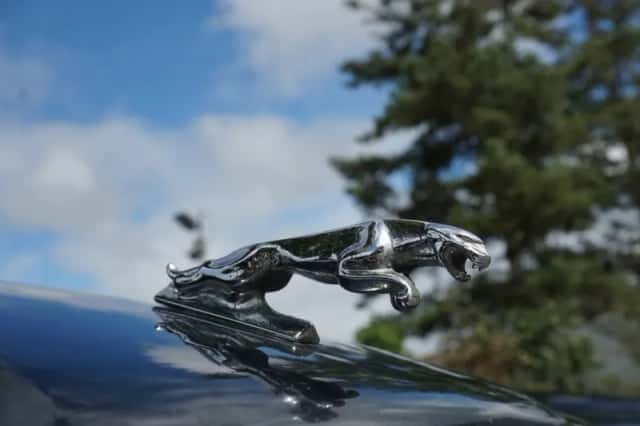Jaguar XJ (1973) thumbnail 5