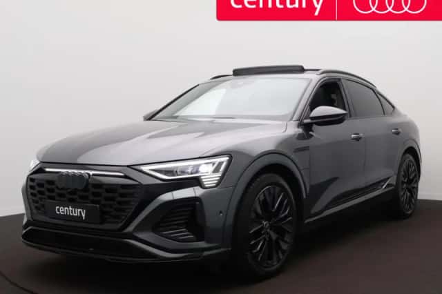 Audi Q8 e-tron (2024) thumbnail 1