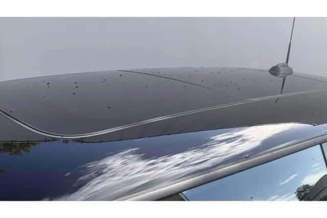 MINI Cooper (2021) thumbnail 3
