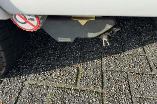 Hobby De Luxe (2009) thumbnail 5