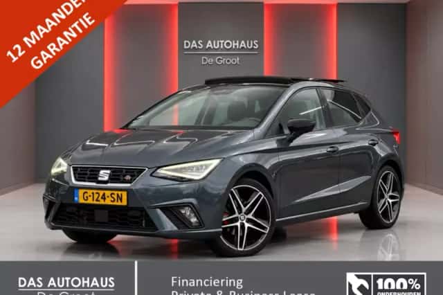 SEAT Ibiza (2019) thumbnail 1