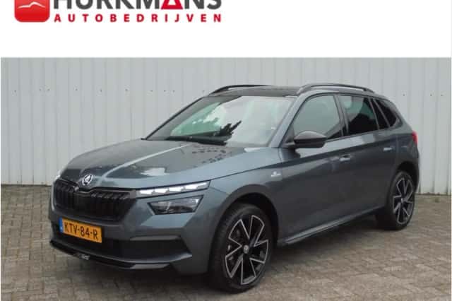 Škoda Kamiq (2020) thumbnail 1