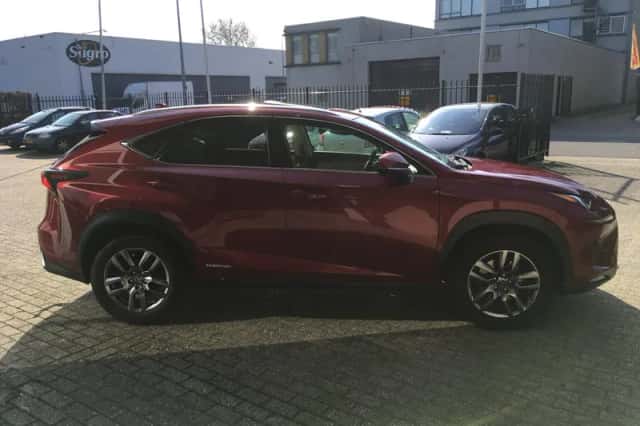 Lexus NX (2018) thumbnail 6