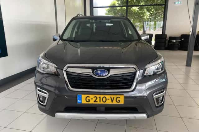 Subaru Forester (2019) thumbnail 6