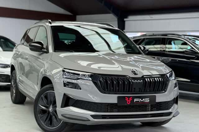 Škoda Karoq (2024) thumbnail 1