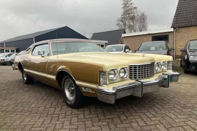 Ford Thunderbird (1976) thumbnail 4