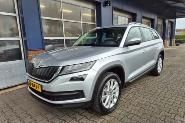 Škoda Kodiaq (2019) thumbnail 1