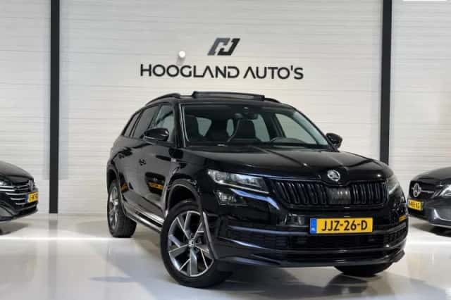 Škoda Kodiaq (2020) thumbnail 1