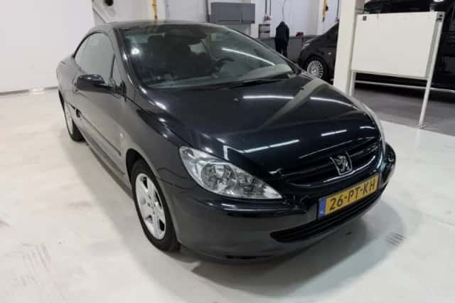 Peugeot 307 (2005) thumbnail 1