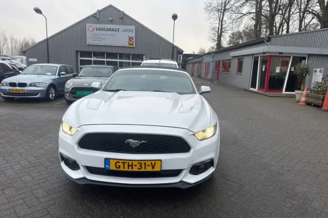 Ford Mustang (2017) thumbnail 3