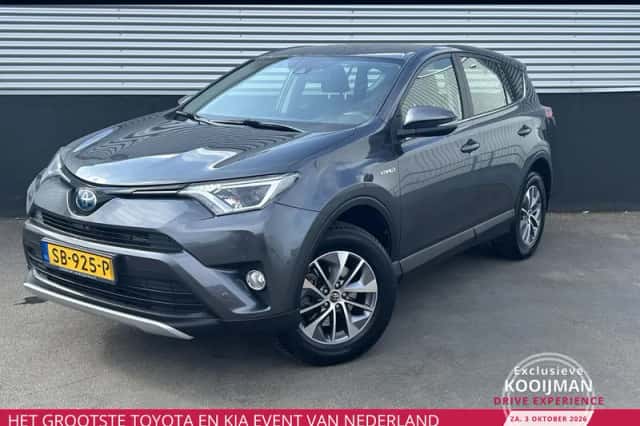 Toyota RAV4 (2018) thumbnail 1