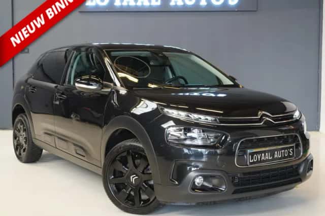 Citroën C4 Cactus (2019) thumbnail 1
