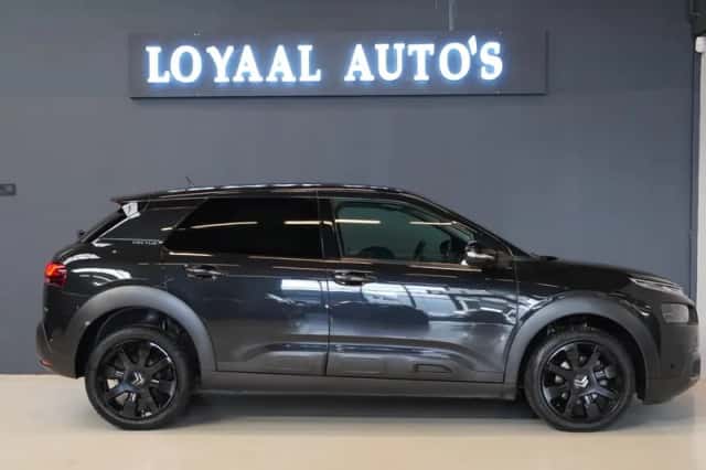 Citroën C4 Cactus (2019) thumbnail 5