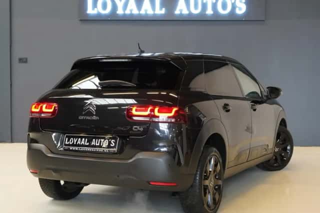 Citroën C4 Cactus (2019) thumbnail 6