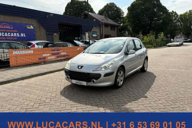 Peugeot 307 (2007) thumbnail 1