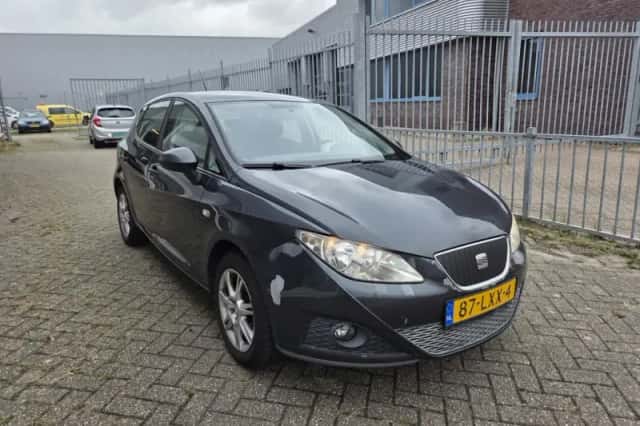 SEAT Ibiza (2010) thumbnail 3