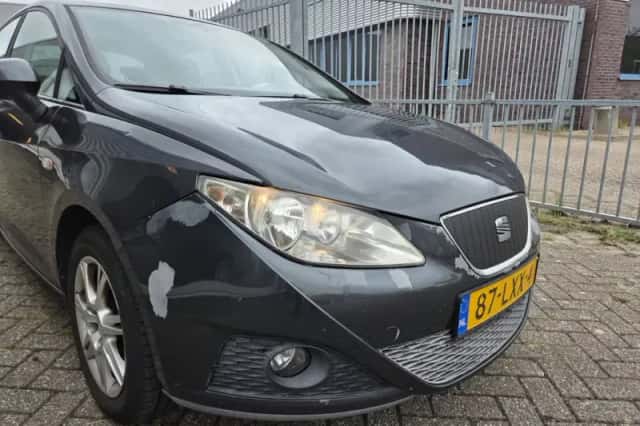 SEAT Ibiza (2010) thumbnail 5