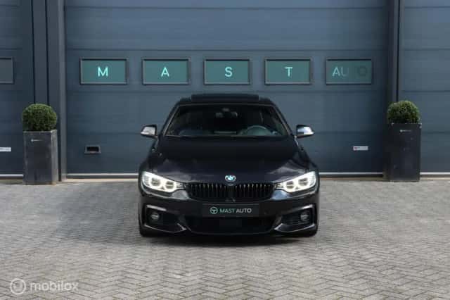 BMW 4-Serie (2014) thumbnail 2