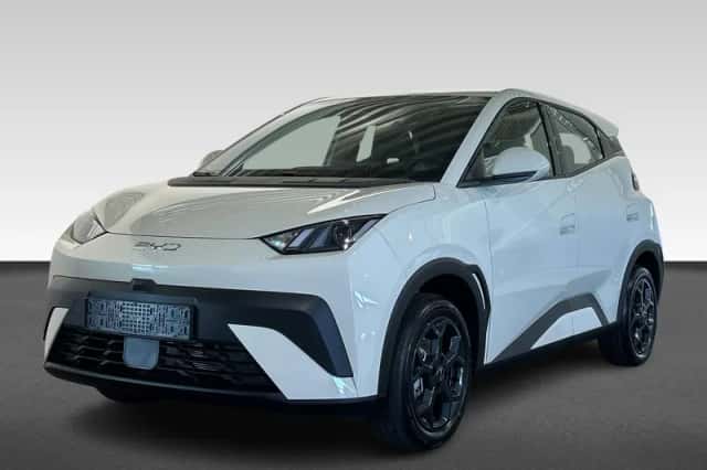 BYD Dolphin Surf (2026) thumbnail 1