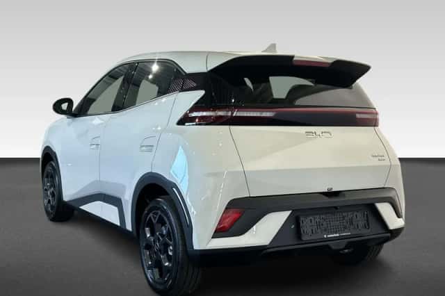 BYD Dolphin Surf (2026) thumbnail 3