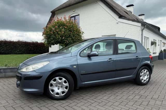 Peugeot 307 (2007) thumbnail 1
