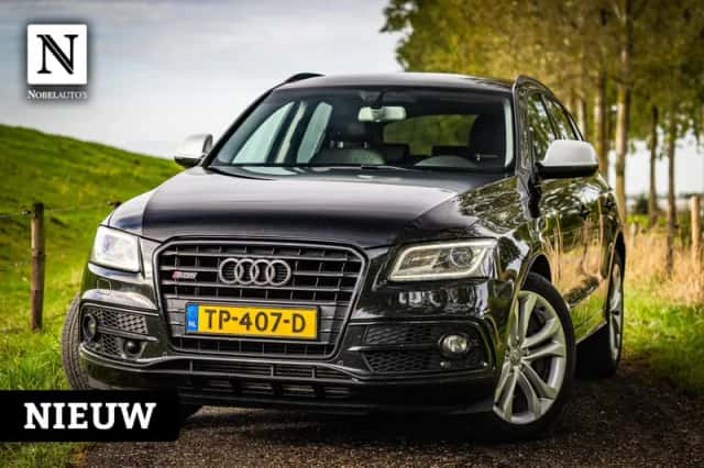 Audi SQ5 (2015) thumbnail 1