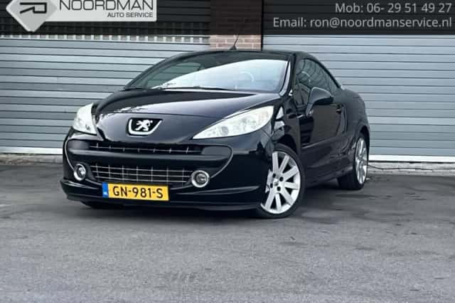 Peugeot 207 (2007) thumbnail 1