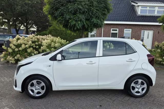 Kia Picanto (2024) thumbnail 2