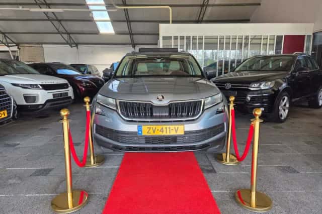 Škoda Kodiaq (2018) thumbnail 1
