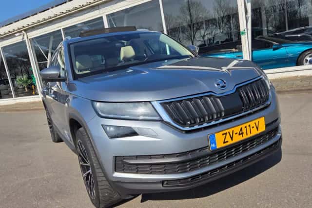 Škoda Kodiaq (2018) thumbnail 5