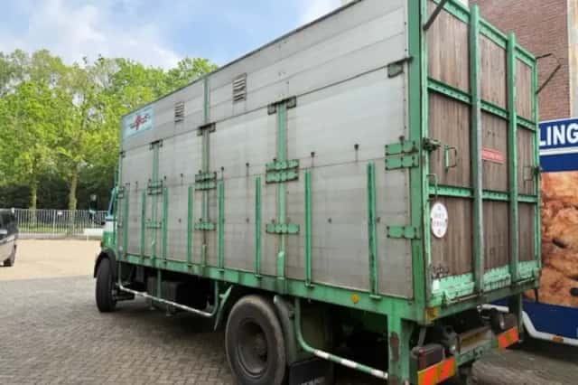 DAF 1900 (1969) thumbnail 5