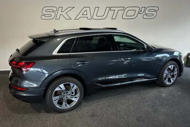 Audi e-tron (2019) thumbnail 6