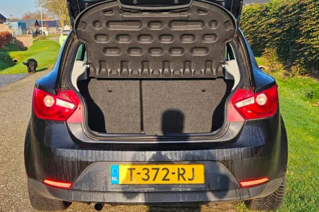 SEAT Ibiza (2009) thumbnail 5