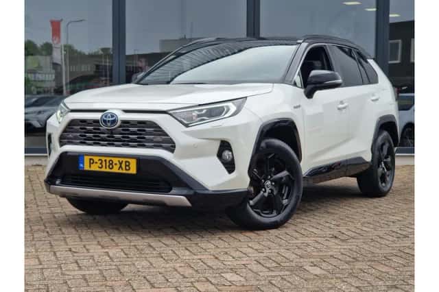 Toyota RAV4 (2019) thumbnail 1