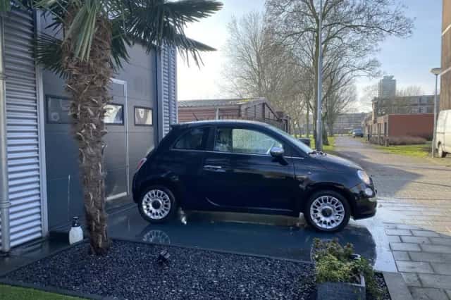 Fiat 500 (2009) thumbnail 4