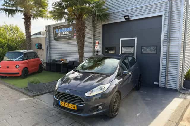 Ford Fiesta (2014) thumbnail 1
