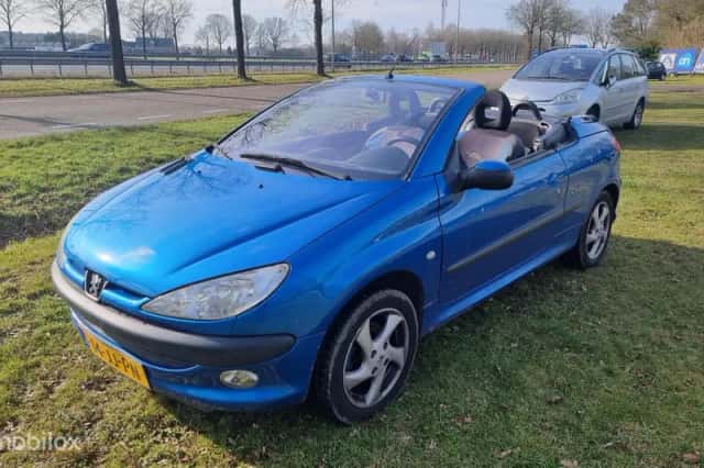 Peugeot 206 (2002) thumbnail 1