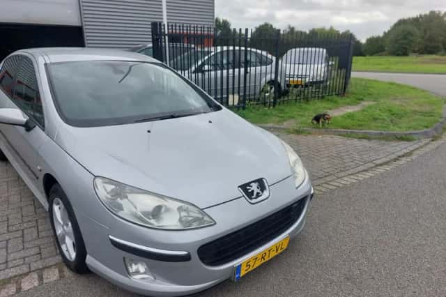 Peugeot 407 (2005) thumbnail 3
