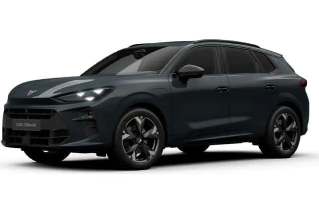 CUPRA Terramar (2026) thumbnail 2