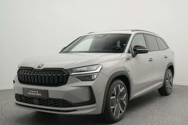 Škoda Kodiaq (2025) thumbnail 1