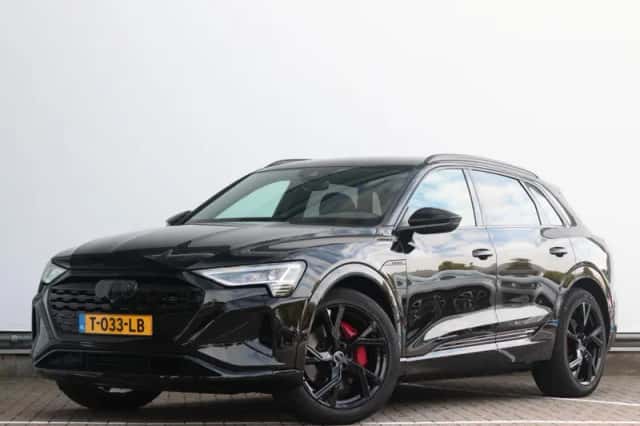 Audi Q8 e-tron (2023) thumbnail 1