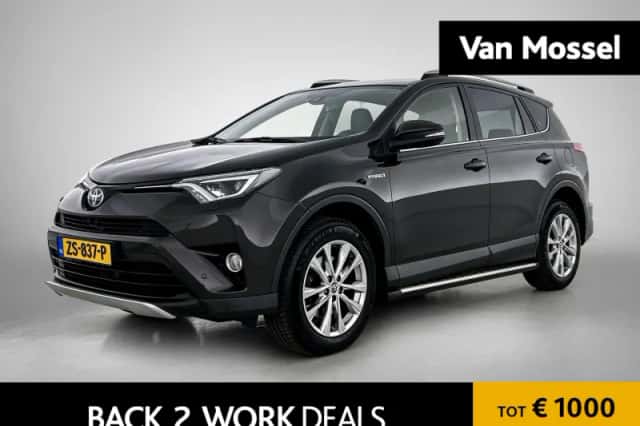Toyota RAV4 (2017) thumbnail 1