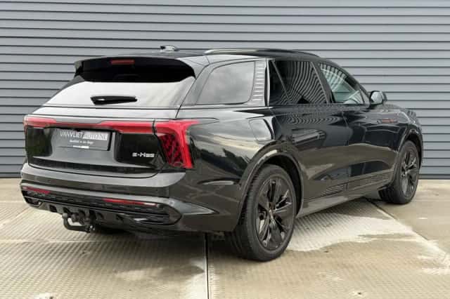 Hongqi E-HS9 (2023) thumbnail 5